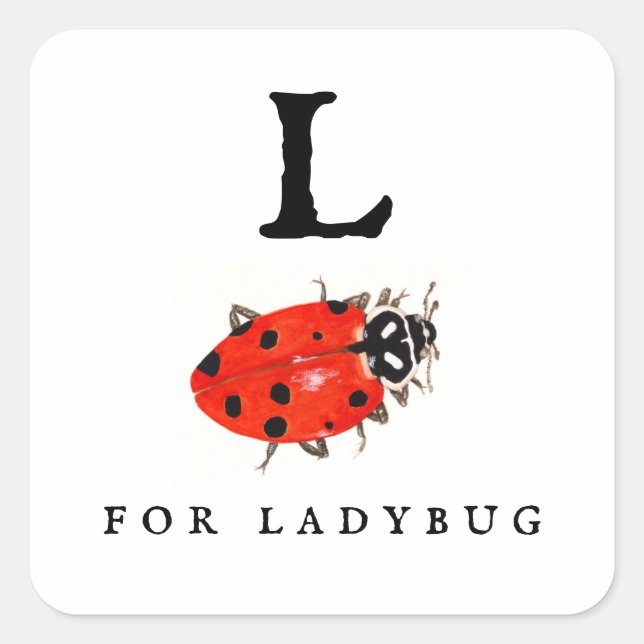Ladybug Quadratischer Aufkleber (Vorderseite)