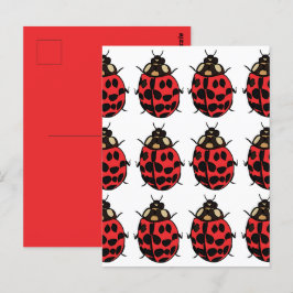Ladybug Red Black Insect Ladybug Postkarte