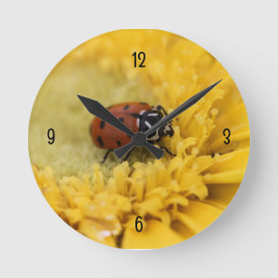 Ladybug Runde Wanduhr