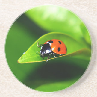 Ladybug Sandstein Untersetzer