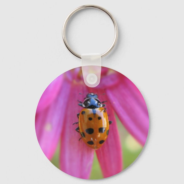 Ladybug Schlüsselanhänger (Vorderseite)