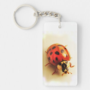 Ladybug Schlüsselanhänger