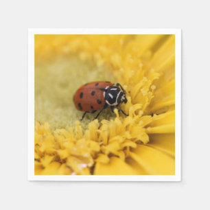 Ladybug Serviette