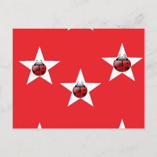 Ladybug stars postkarte