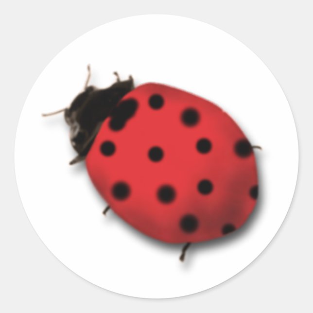 Ladybug Stickers (Vorderseite)