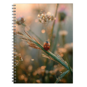 Ladybug Sunrise Meadow Notebook Notizblock