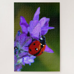 Ladybug über Lavendel-Puzzle Puzzle