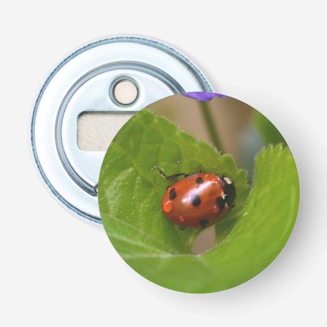 Ladybug über süße Violettsorten-Blume Flaschenöffner (Vorderseite)