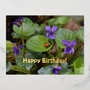 Ladybug über süße Violettsorten-Blume Folien Feiertagspostkarte