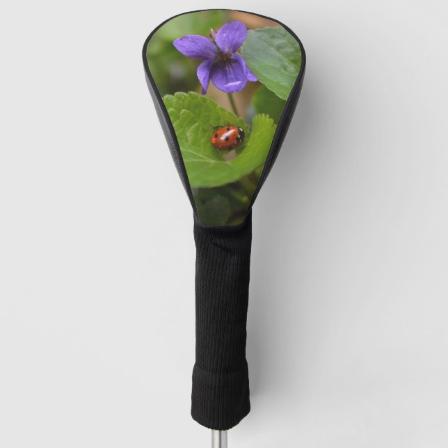 Ladybug über süße Violettsorten-Blume Golf Headcover (Vorderseite)