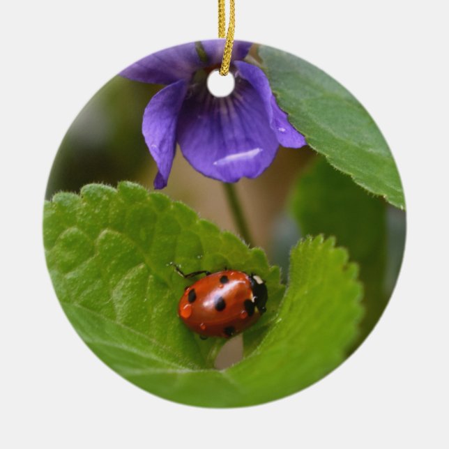 Ladybug über süße Violettsorten-Blume Keramik Ornament (Vorne)
