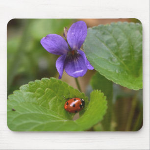 Ladybug über süße Violettsorten-Blume Mousepad