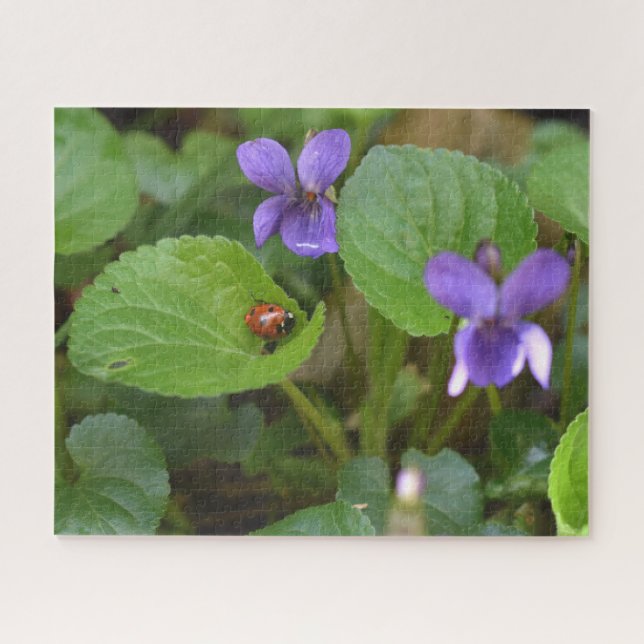 Ladybug über süße Violettsorten-Blume Puzzle (Horizontal)