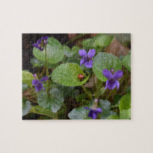 Ladybug über süße Violettsorten-Blume Puzzle