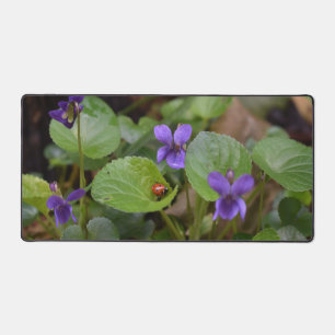 Ladybug über süße Violettsorten-Blume Schreibtischunterlage