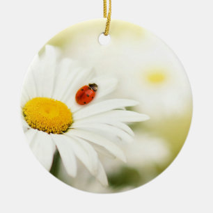 Ladybug und Daisy Keramik Ornament