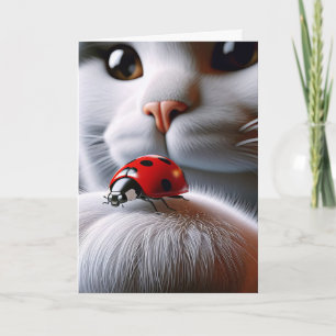 Ladybug und Katze zum Geburtstag Karte