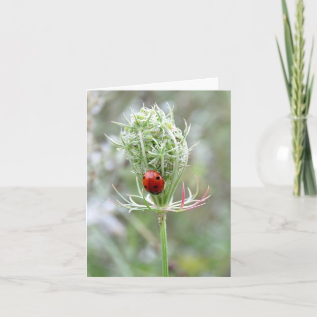 Ladybug und Wildblume - Blankokarte Karte (Vorderseite)