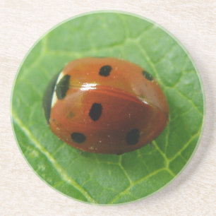 Ladybug Untersetzer