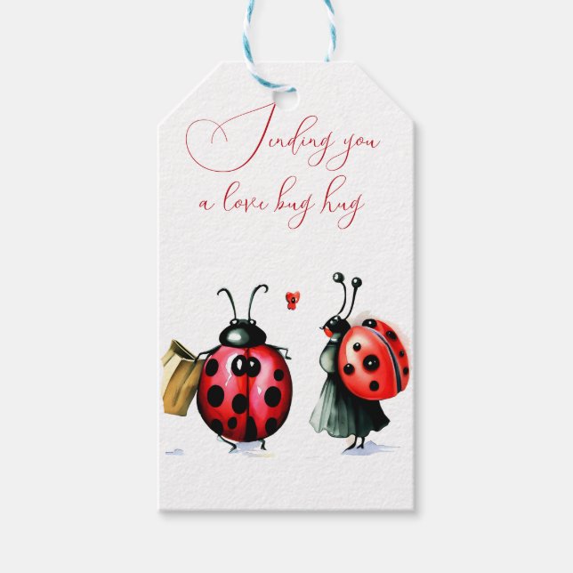 Ladybug Valentine's Day Card Geschenkanhänger (Vorderseite)