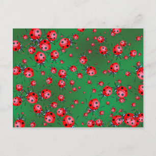 Ladybug Wallpaper Postkarte