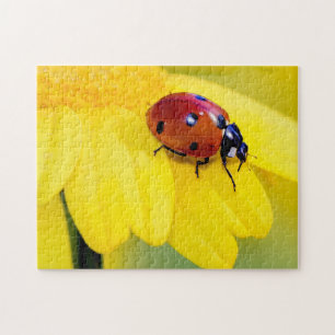Ladybug Yellow Blume Foto Puzzle