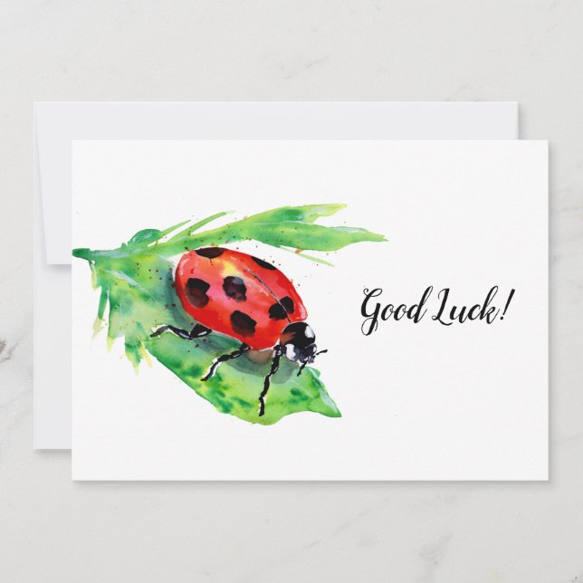 Ladybug zur grünen Leaf-Viel Glück Dankeskarte (Vorderseite)