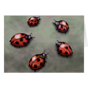 Ladybugs