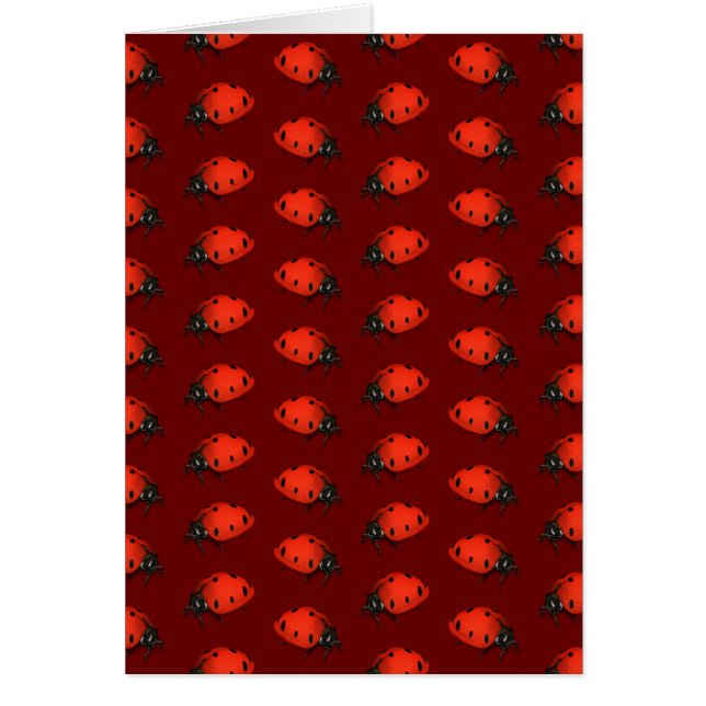 Ladybugs (Vorne)