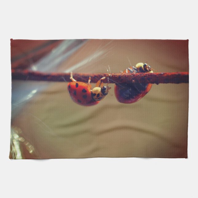 Ladybugs Balancing Nah Up  Geschirrtuch (Horizontal)