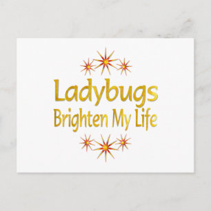 Ladybugs Brighten Mein Leben Postkarte