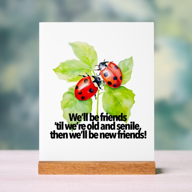 Ladybugs friendship quote funny Anniversary BFF Acrylschild (Neutral)