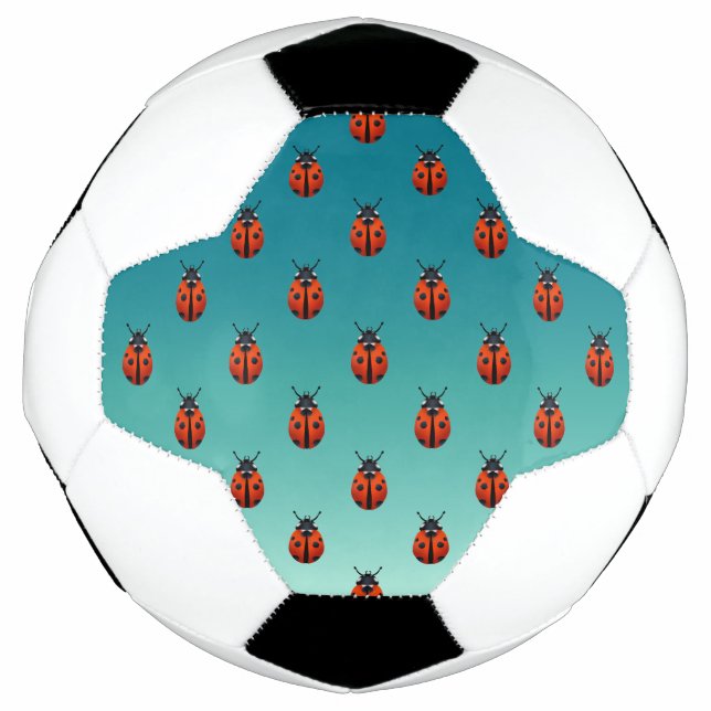 Ladybugs Fußball (Vorderseite)