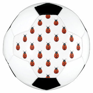 Ladybugs Fußball Ball