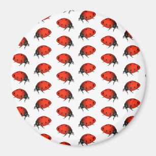 Ladybugs Magnet