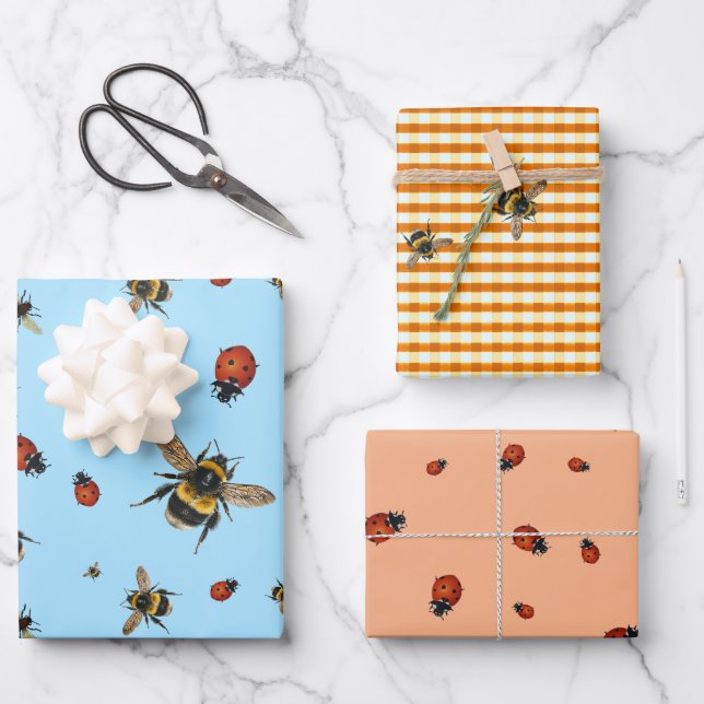 Ladybugs n Bees Summer Birthday Wrapping Paper Geschenkpapier Set (Vorderseite)