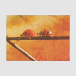 Ladybugs Play folgt der Vintagen Entsprechung des Seidenpapier
