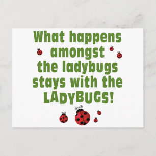 Ladybugs Postkarte