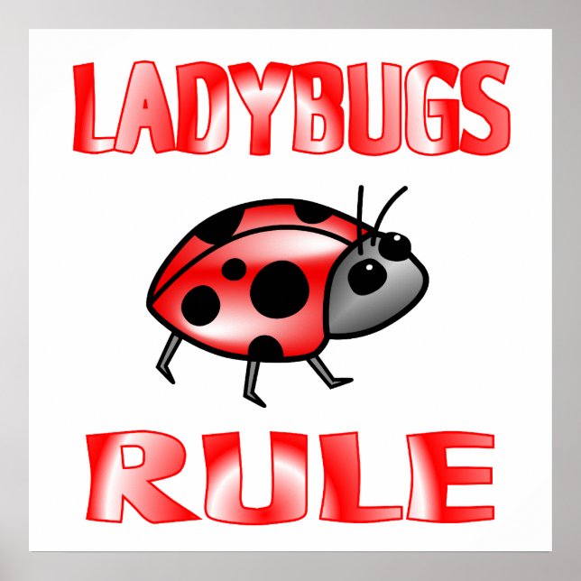 LADYBUGS RULE Poster (Vorne)