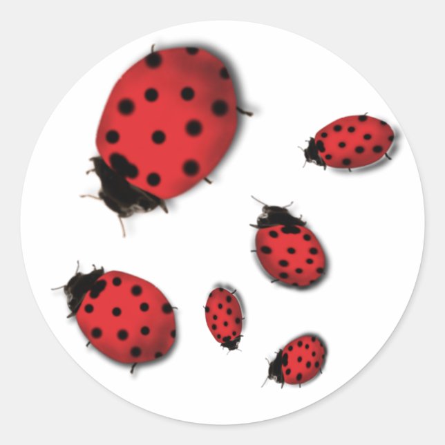 Ladybugs Runder Aufkleber (Vorderseite)