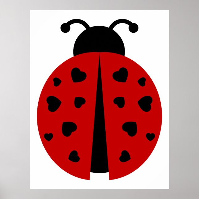 Ladybugz. Poster (Vorne)
