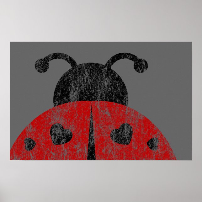 Ladybugz. Poster (Vorne)