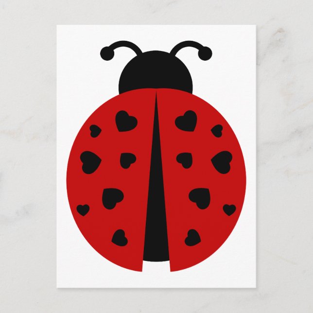 Ladybugz. Postkarte (Vorderseite)