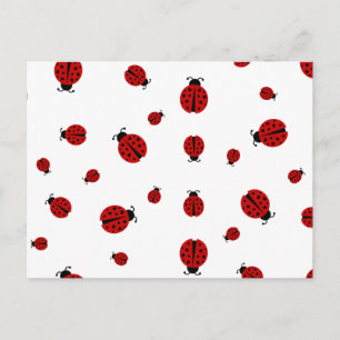 Ladybugz. Postkarte