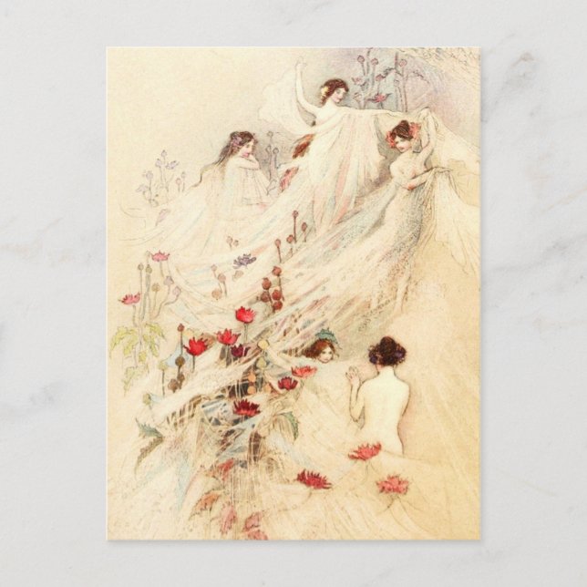 Ladys Ansammlung Gossamer Postkarte (Vorderseite)