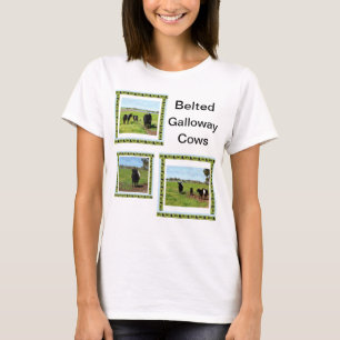 Ladys Belted Galloway Cows T - Shirt, T-Shirt