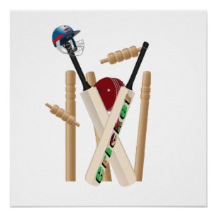 Ladys Cricket The Game Allrounder , Poster