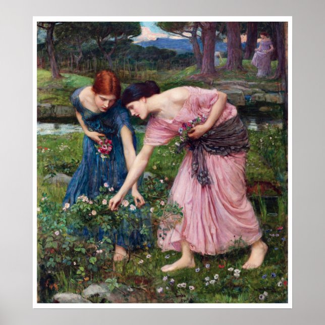 Ladys Picking Rose, John William Waterhouse Poster (Vorne)