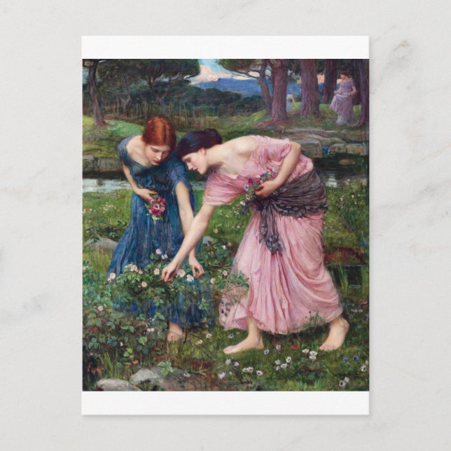 Ladys Picking Rose, John William Waterhouse Postkarte (Vorderseite)