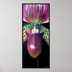 Lady's Slipper Orchid Poster